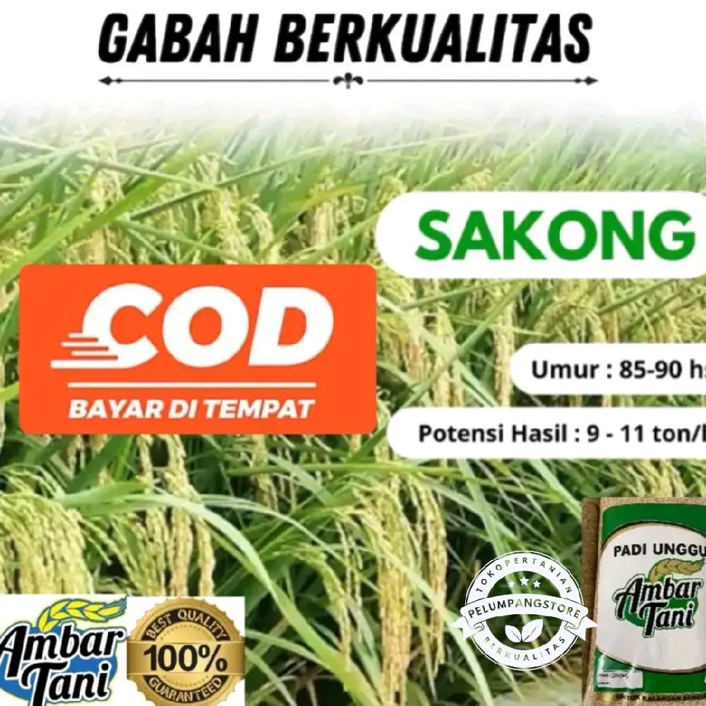 BENIH PADI UNGGUL SAKONG KEMASAN 5KG