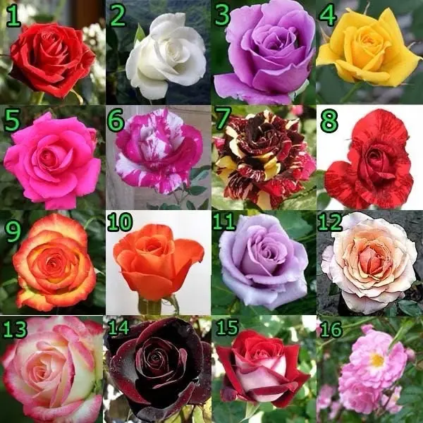 (Paket 5 Mawar Mix) Artificial Plant