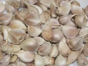 1 KG BAWANG PUTIH KATING LEPAS BONGOL UTUH BERSIH