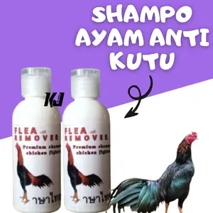 Sampoo Ayam Kondisioner Ayam Shampo Anti Kutu Ayam