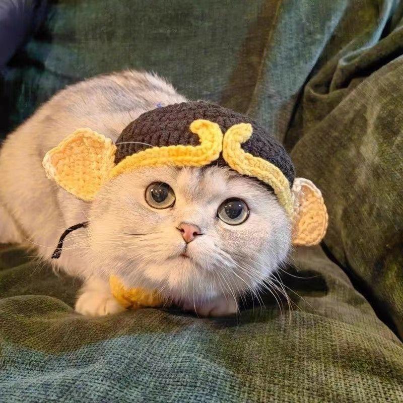 Topi kucing, topi haiwan peliharaan, topi anak anjing, topi persalinan ...