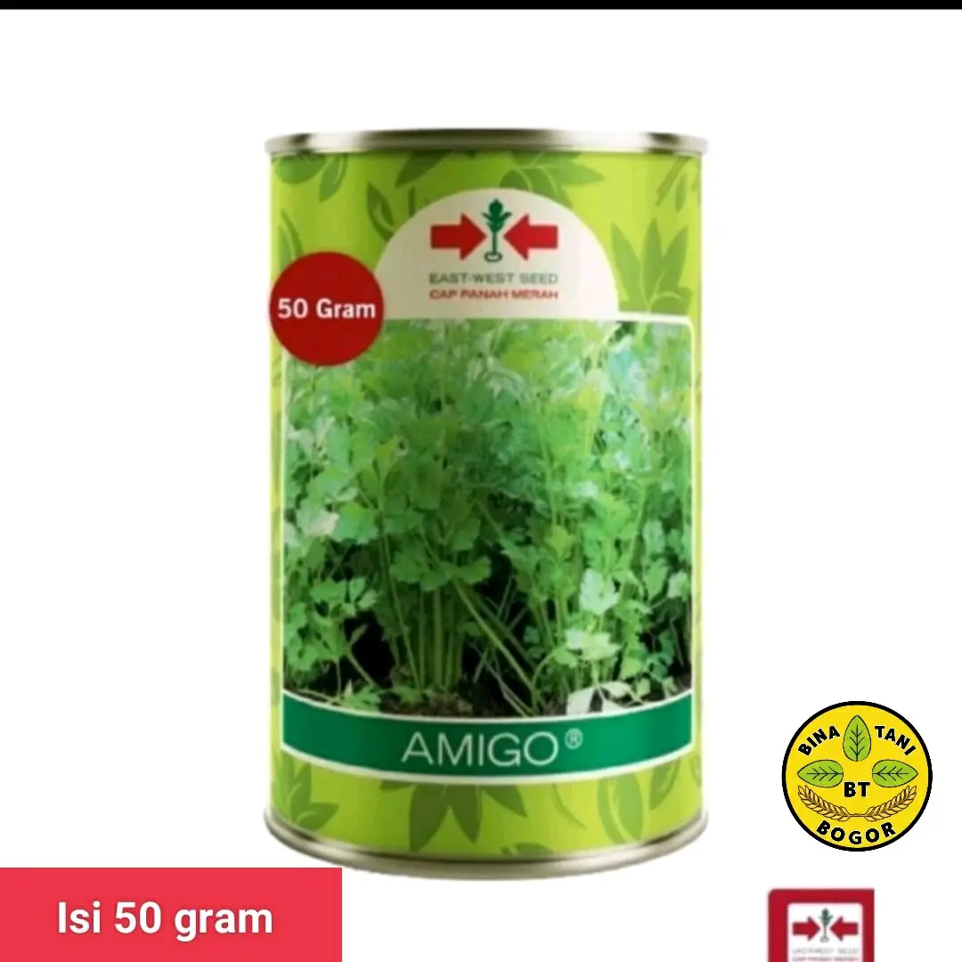 Benih/bibit unggul Seledri AMIGO Kemasan kaleng isi 50 gram Daun