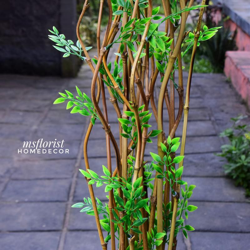 10 Btg Bambu Ulir Cendani Daun Cordelia 142 cm Tanpa Pot - Dekorasi Shabby Warna Natural 9