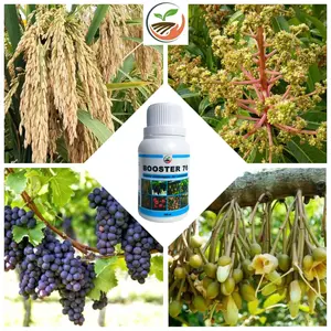 [BELI 2 GRATIS 1] Booster 76 Hormon Pembungaan dan Pembuahan - Hormon dan Pupuk Buah dan Tanaman Bunga Pohon Original Asli Resmi