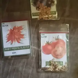 Paket Spesial Benih Sayur Konsumsi Terlengkap Harga Termurah