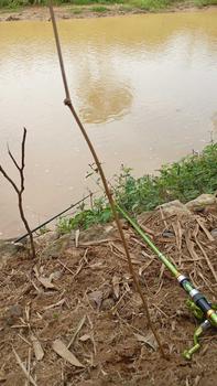 Product Review of Sougayilang Rod memancing berputar dan reel set 5.9ft/6.9ft/7.9ft Rod memancing teleskopik dan 6BB 5.2:1 Ratio memancing berputar reel memancing dengan garis memancing 500m Ikan Roda from 𝗱**🍌 2