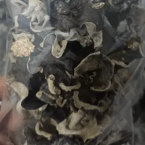 (PAKET 100GRAM)Jamur Kuping Kering kemasan 100 gram