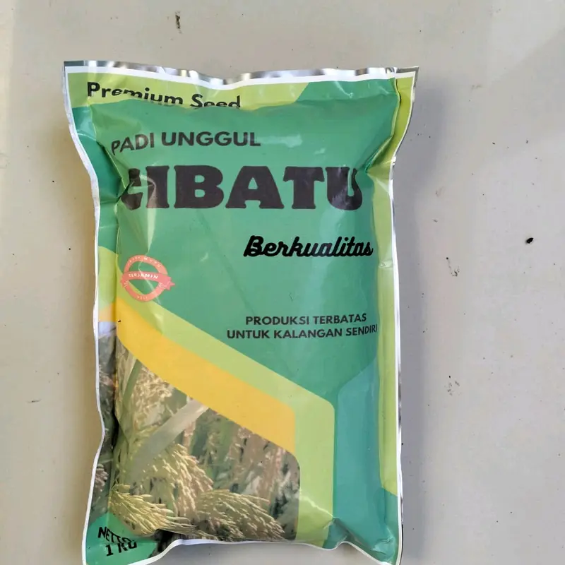Benih padi unggul CIBATU 06 Kemasan 1kg 4