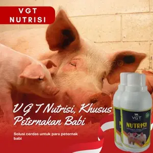 VGT Nutrisi m2 Babi dan Kambing Penggemuk Hewan Ternak Vitamin Babi Penambah Nafsu Makan Babi 250ml