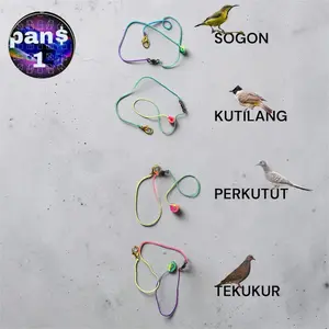 Tali Burung Pelangi [WARNA GRADIASI]
