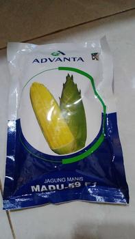 Product Review of Benih Jagung Manis MADU-59 F1 isi 250gr dari ADVANTA from T**p 0