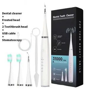 Smart Ultrasonic Scaling Alat Pembersih Karang Plak Sikat Gigi Electric 2 IN 1 Tool Dental Scaler Ultrasonic Toothbrush Portable OS
