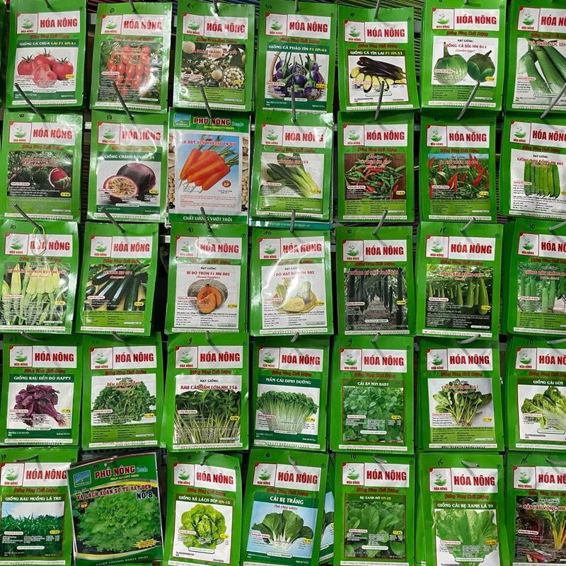  Hạt giống rau củ quả giá chỉ từ 10k hạt nảy mầm sinh trưởng tốt 