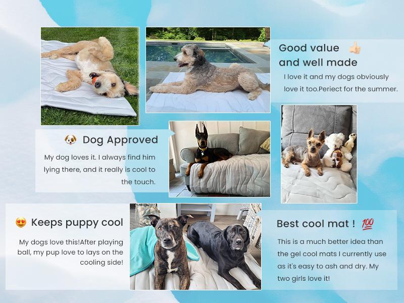 Product Introduction of Vagascape Dog Cooling Eco-friendly Mat, Cooling Pad, Pet Cool Mats for Dogs and Cats use in Crate, Tunk, Camping, Outdoors, Portable, Machine Washable, Durable, Without Gel 6