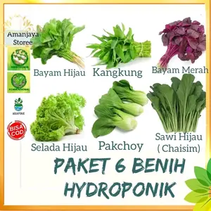 PAKET 6 BENIH SAYURAN DAUN CEPAT PANEN + BONUS polibag semai, pupuk npk dan benih lainnya Pakcoy Hijau