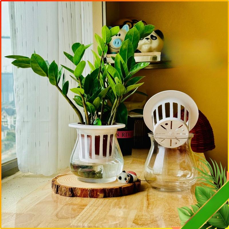 Chậu nhựa trồng cây thuỷ sinh, chậu thông minh tự dưỡng , trang trí văn phòng,…