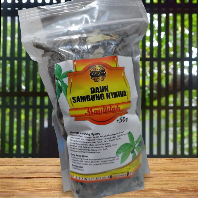 Daun Sambung Nyawa kering 50 gram Maulidah 1