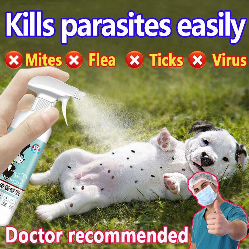 Curated visual reference: Picture Idea: Pet Tick And Flea Killer 500Ml Natural Plant Formula Non