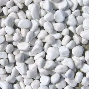 batu koral putih 1kg untuk tanaman hias asli
