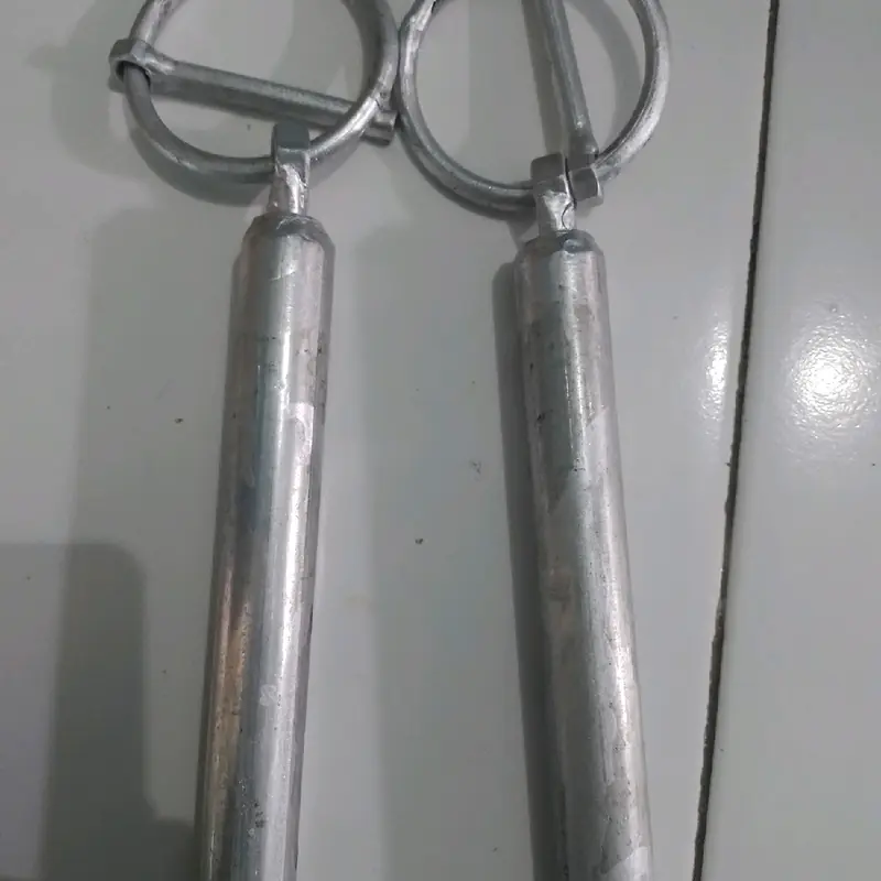 pancuh tanam untuk domba, sapi, dll 1