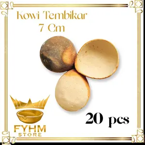 KOWI TEMBIKAR PADANG ukuran 7 cm isi 20 pcs Alat lebur Emas