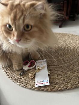 Product Review of Metal Cat Collar No Discoloration Pet Necklace Electroplating Aluminum Hollow Bell Dog Gold Chain Kolar Kucing from B**2 0