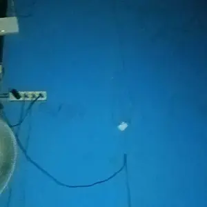 Pro Paint Cat tembok rumah kiloan bagus wangi dan murah 1 kg cat dinding