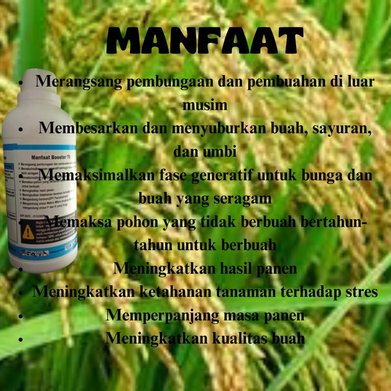 Booster 76 perangsang buah dan sayuran untuk pertanian dan perkebunan 1