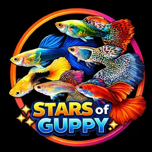 Stars of Guppy - Ikan Guppy Warna-warni untuk Aquascape dan Hiasan Aquarium