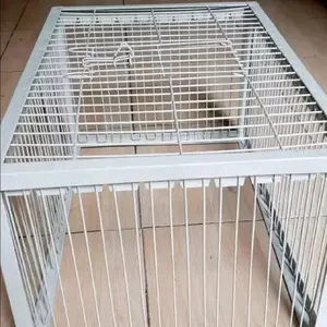 perangkap burung merpati dan anak ayam dll serbaguna