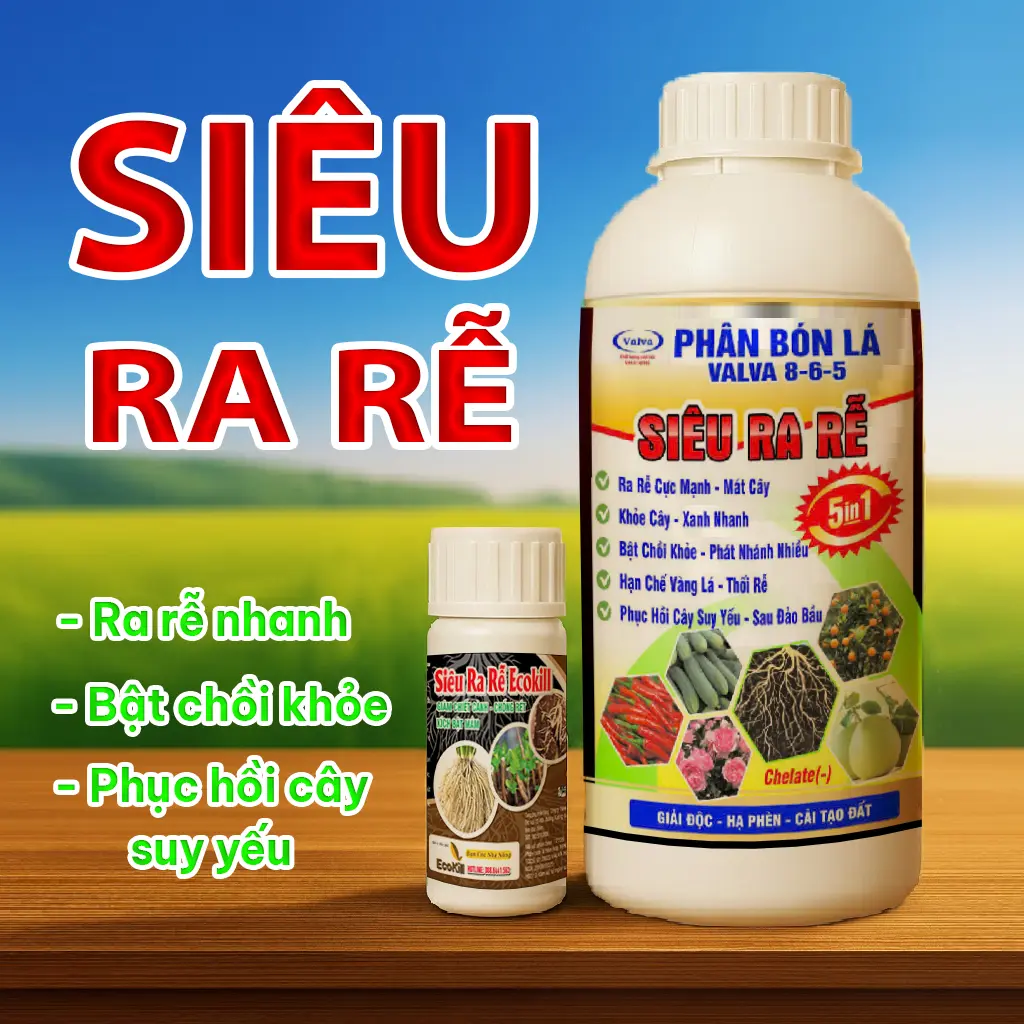 Siêu Ra Rễ Ecokill 30ml – Phân Bón Lá Kích Rễ Cây Giâm Chiết Cành Chống Rét Tăng Đậu Trái Phục Hồi Cây Suy Yếu Tăng Sức Đề Kháng
