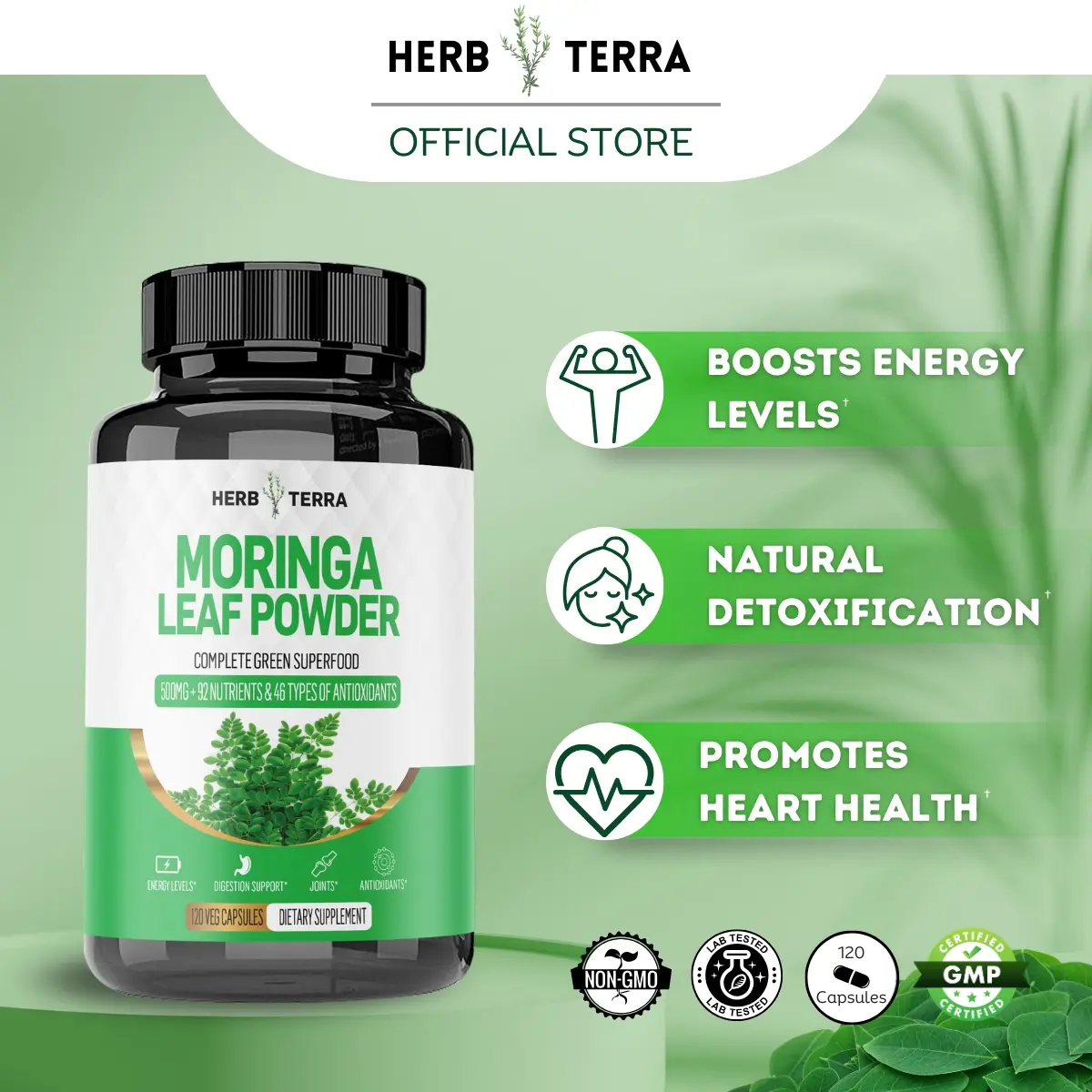 Herb Terra Moringa Leaf 120 Capsules | Non-GMO and Gluten Free Supplement | Complete Superfood | Nature's Multivitamin | Organic Dietary Supplement