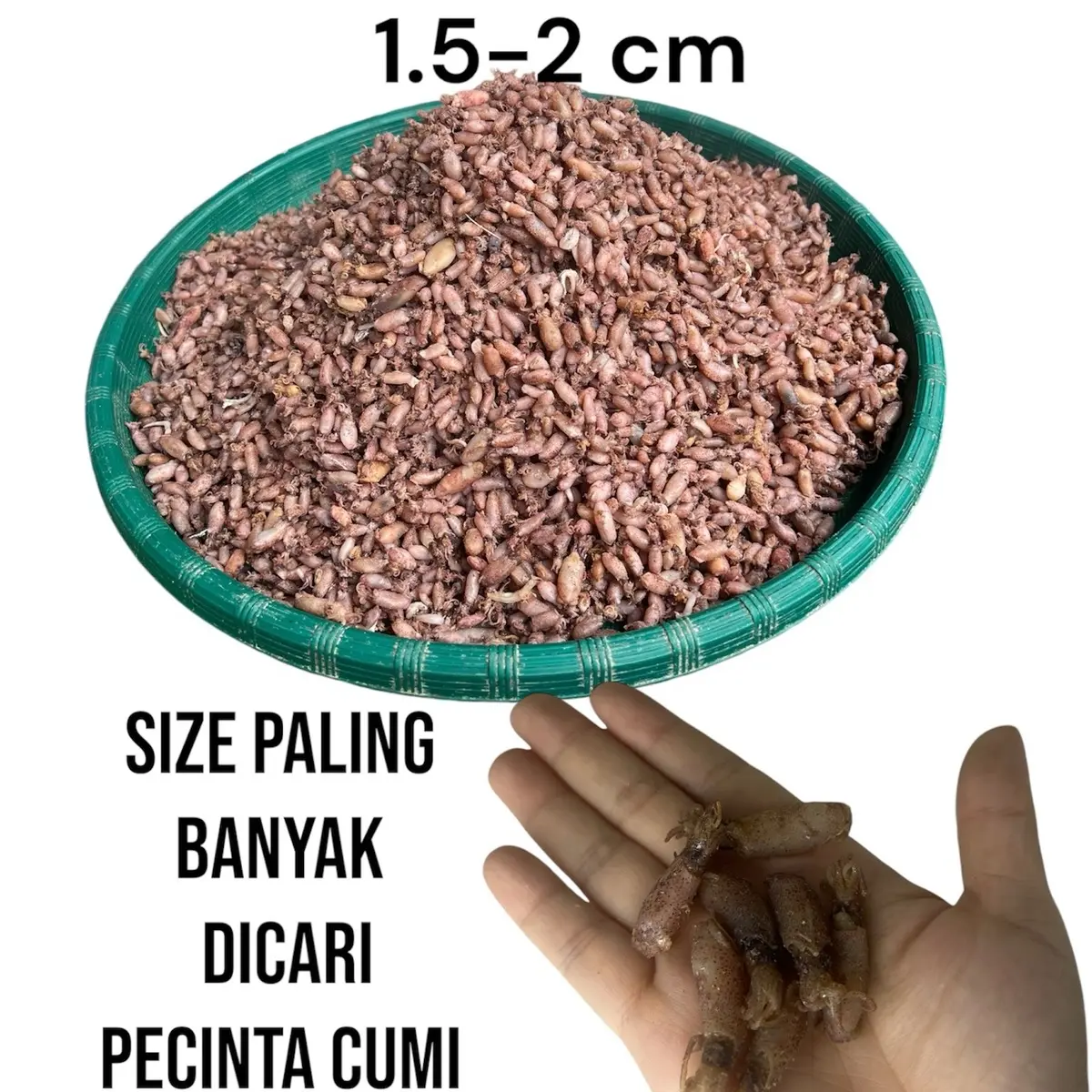 Baby Cumi kering medan (1.5cm-2 cm) 250gr Food