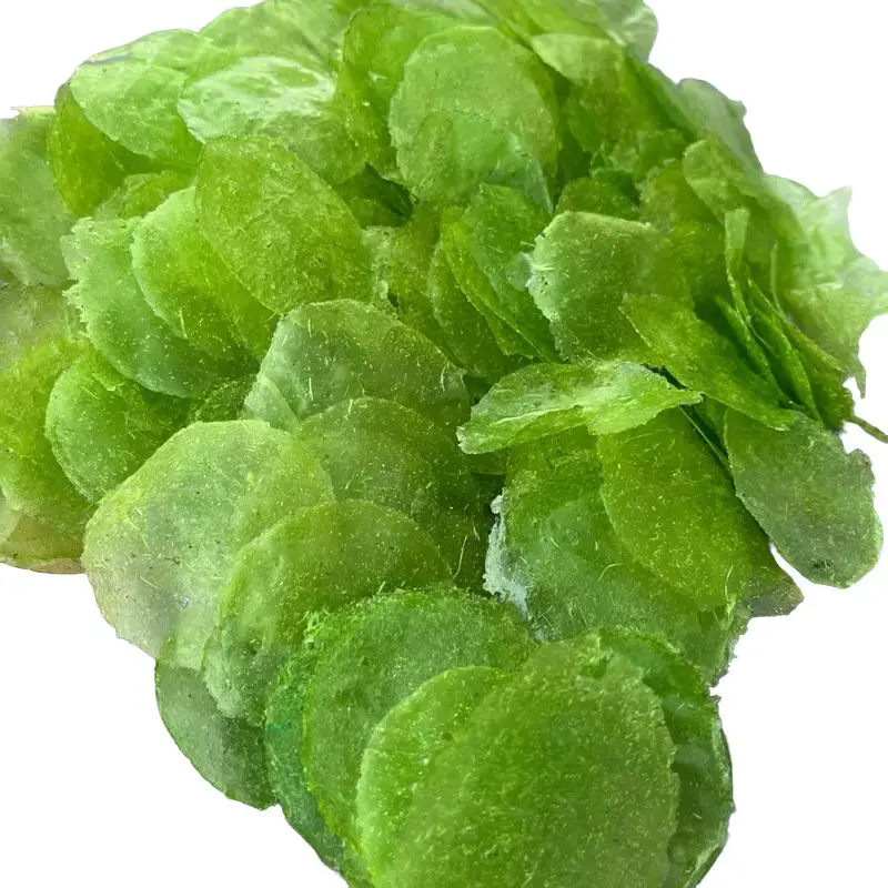 Kripik kaca hijau mentah ( rumput laut ) 1kgKripca Camilan