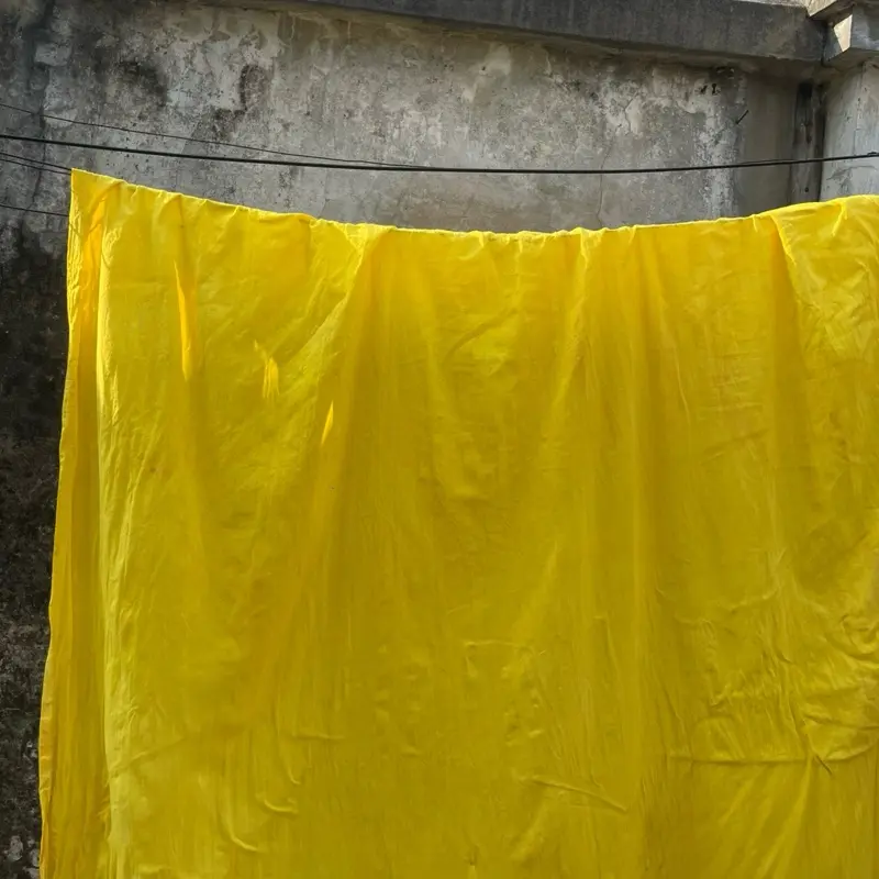 Sabuk Saudara Seasuhan PSHW-TM ,Free gelang dan stiker ( Warna kuning lemon ) 0