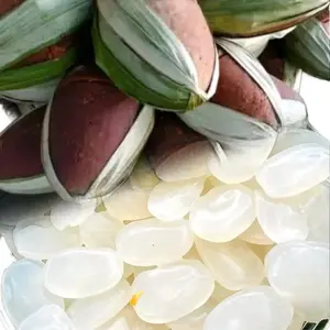 GULA MERAH DAN KOLKAL 1KG FRESS Sugar Manis Food asli 100% di olah dari pohon aren tanpa pengawet dan pewarna buatan