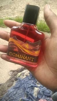 Product Review of Scentplus H12NY Premium 35ml Eau De Perfume Pria Wangi Elegant from S**T 0