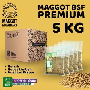 Maggot Bsf PREMIUM 5kg, Bersih Non Limbah, Kualitas Ekspor, MAGGOT NUSANTARA