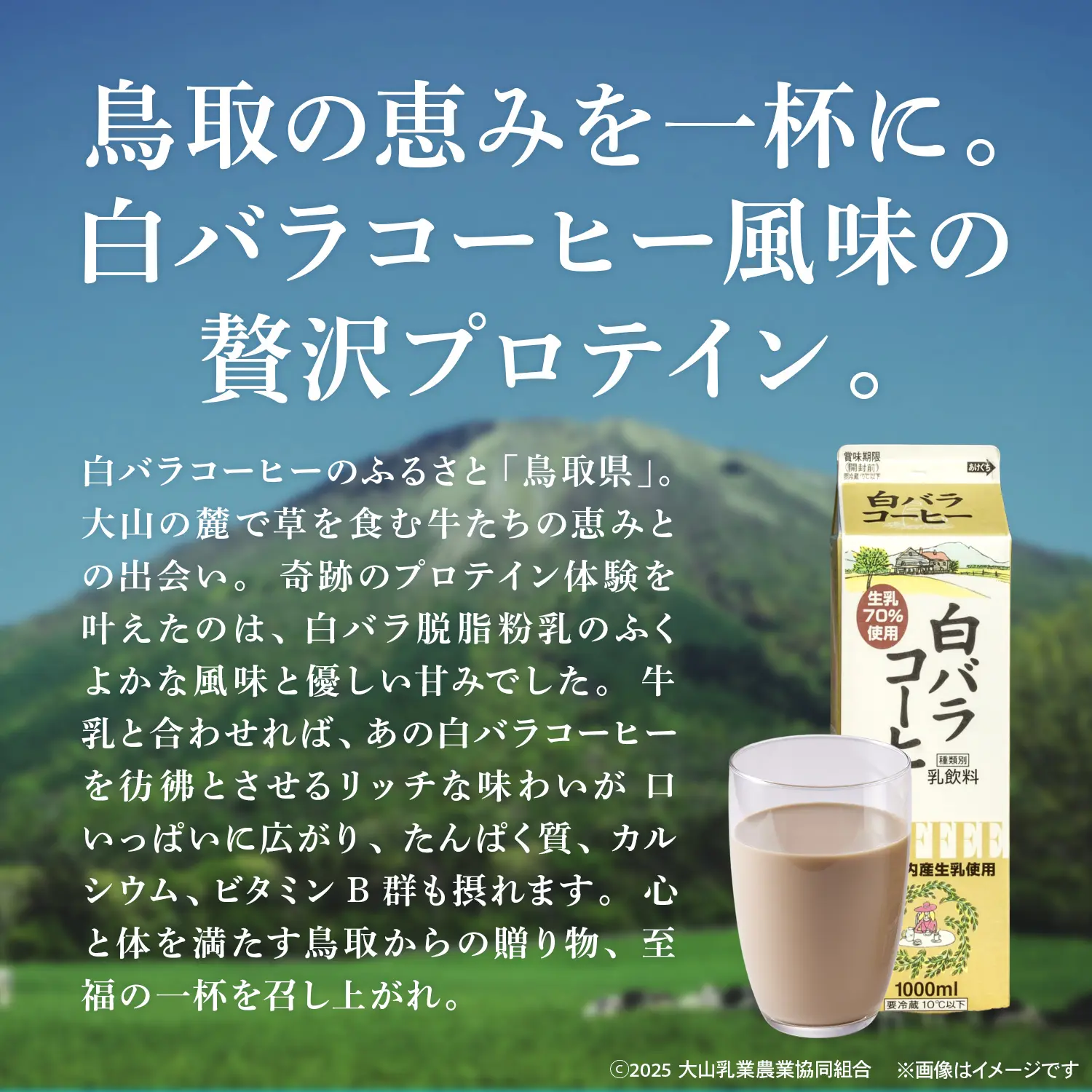 みーたんママ様プロテインピーチ、コーヒー Amazon | 甘くない無糖プロテイン！毎日のコーヒー感覚でタンパク質
