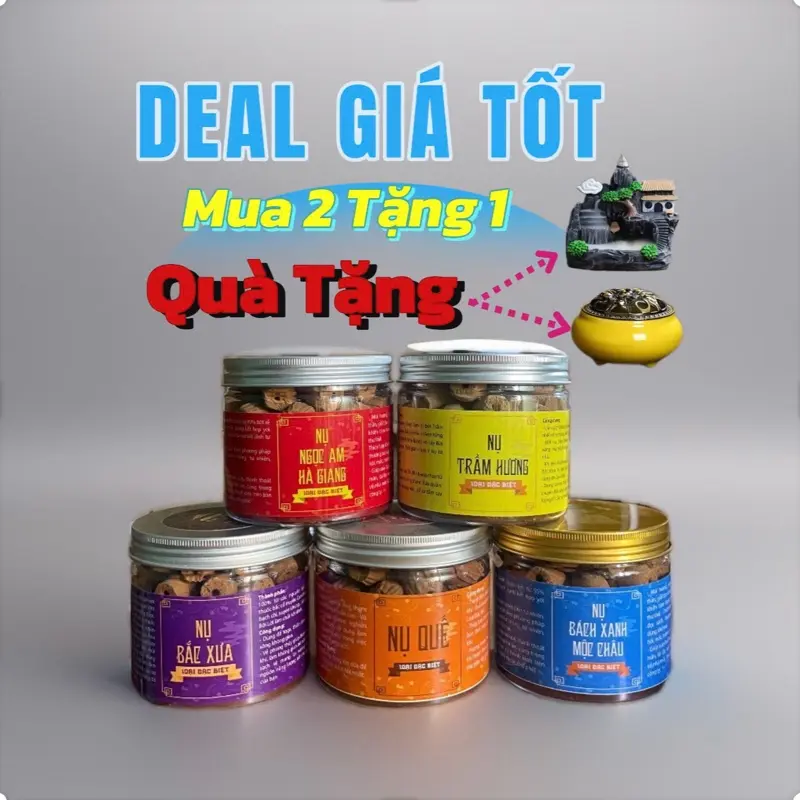[ Tặng Thác Hoặc Lư ] COMBO 2 HỘP Nhang Nụ Xông Nhà - Nụ Ngọc Am, Bách Xanh, Quế, Bắc Xưa (1 Hộp 45-50 Nụ) 0