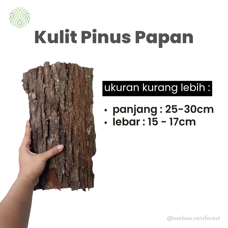 Kulit Pinus Papan - Background Terrarium/Vivarium/Hardscape 3