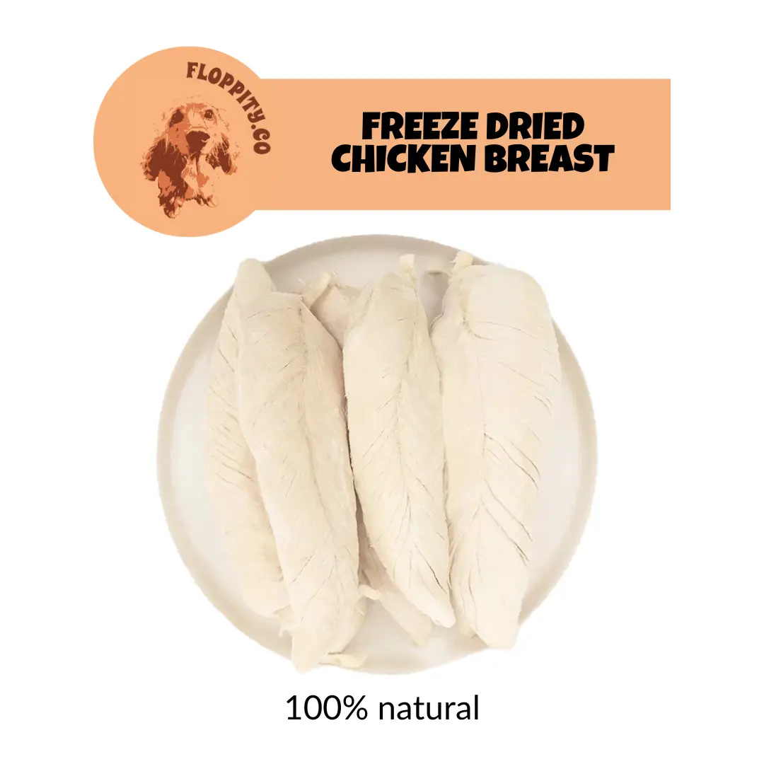 Floppityco Dog and Cat Treats - Freeze Dried Chicken Breast Snack