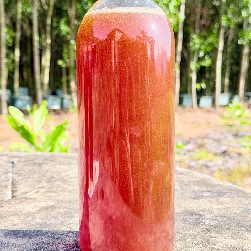 Chai 1l mật ong hoa rừng bông trắng