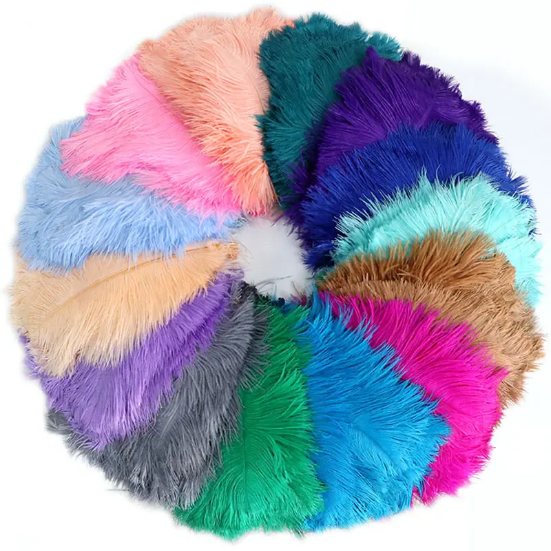 Ostrich Feather Color Feather