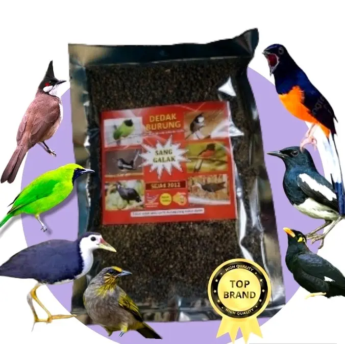 DEDAK PENGGALAK BURUNG SANG GALAK
