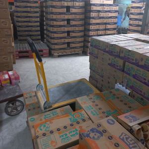 HCM Chuyen Bim Sua TGP