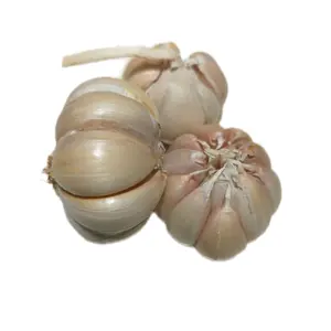 1KG Bawang Putih Penyedap Rasa Organik Segar untuk Masakan Sehari-hari