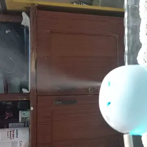 Ruibao Humidifier Air Purifier Pelembab Pewangi Mobil Ruangan Kantor B003