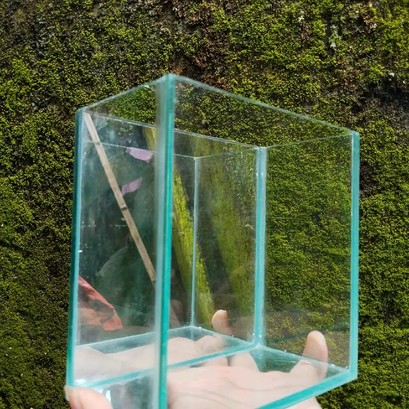 soliter selfie khusus ikan cupang/guppy ukuran 15x8x15 2
