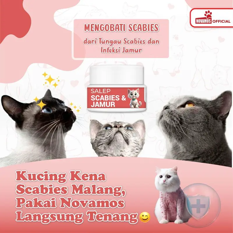 NOVAMOS Salep Scabies Jamur Kucing dan Anjing Obat Gatal Gudik Koreng Ampuh 3